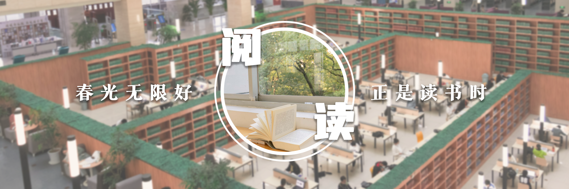读书正当时